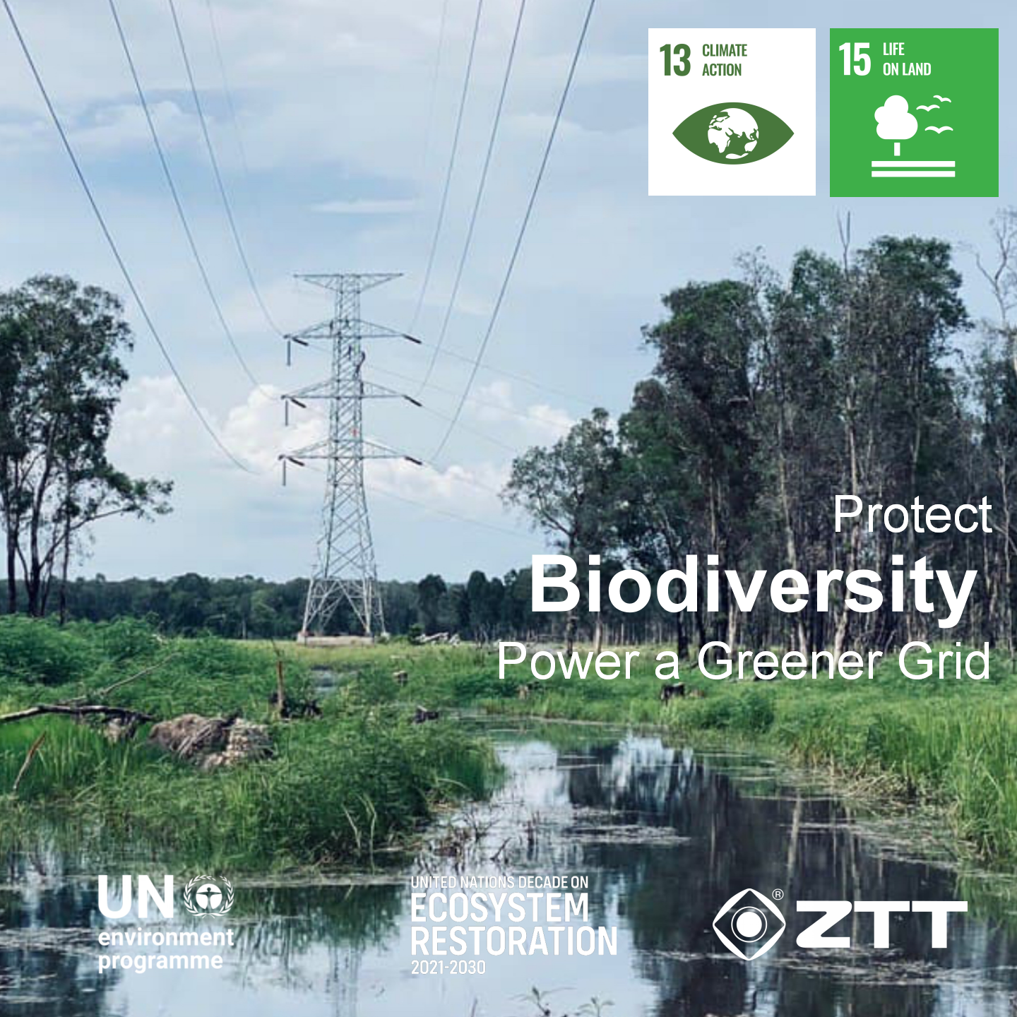 ZTT Promotes Biodiversity Protection in Overseas Infrastructure Projects