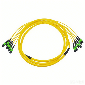 MPO/MTP Patch Cord